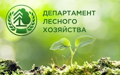 Создание презентации для департамента лесного хозяйства администрации Краснодарского края